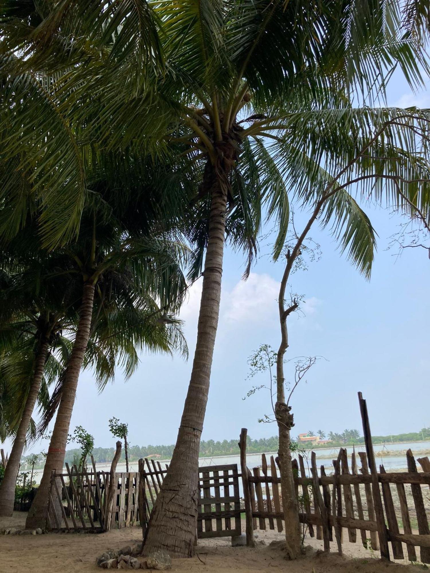 קלפיטייה Kite Bay Villa מראה חיצוני תמונה