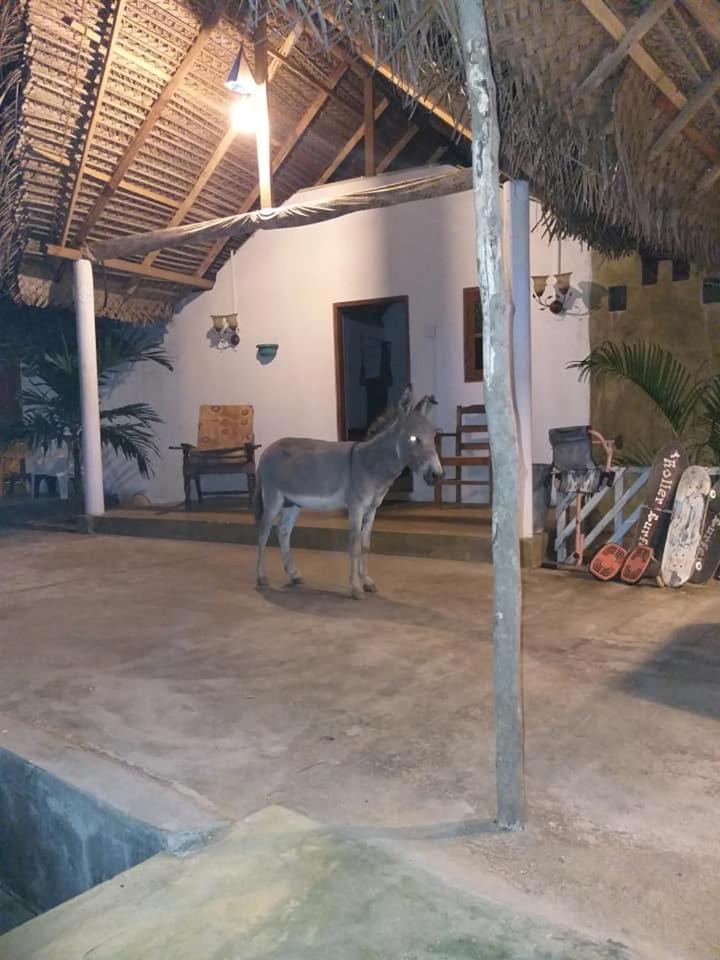 קלפיטייה Kite Bay Villa מראה חיצוני תמונה