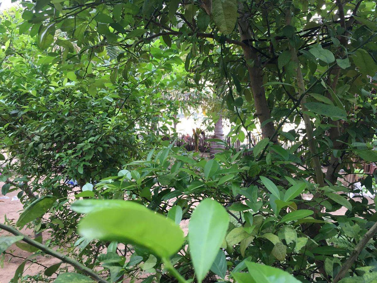 קלפיטייה Kite Bay Villa מראה חיצוני תמונה